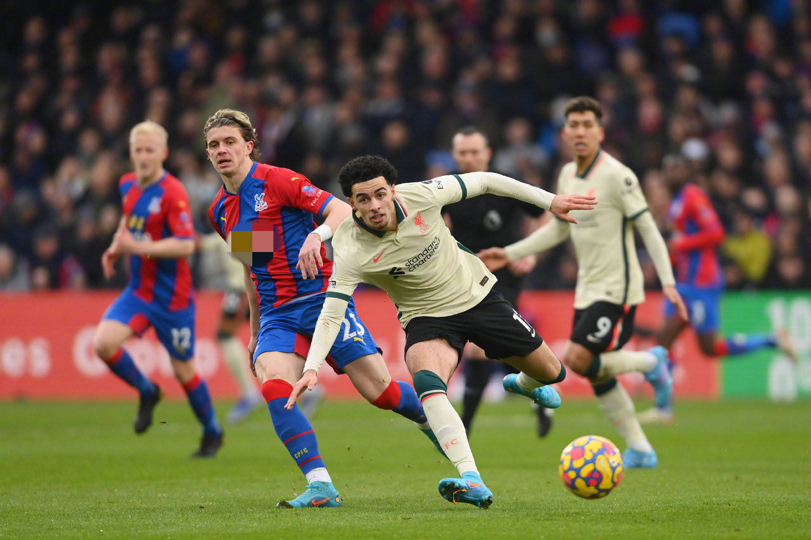 他就是来自 他就是来自